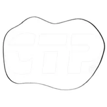 New 5P4057 Seal O Ring Replacement suitable for Caterpillar Equipment