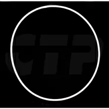 6T0838 Caterpillar Seal Ring propelparts