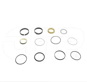 2199066  CAT Seal Kit