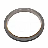 5697729 CAT Seal-Crankshaft