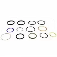 New 1915619 Seal Kit Replacement suitable for Caterpillar 320C, 322C, 324D, 324D L, 324D LN, 325C, 325C L, 325D, 325D L, 329D, 329D L, 329D LN, 330C, 330C L, 330C LN, 330D, 330D L, 330D LN, 336D, 336D L, 336D LN, 345C L, 385B, 385C, 385C L, M325C, M325D L