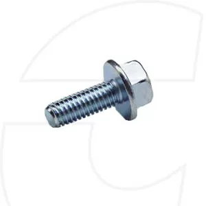 1068916  CAT Bolt-Flange