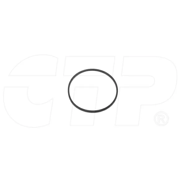 1P1120  CAT Ring Seal