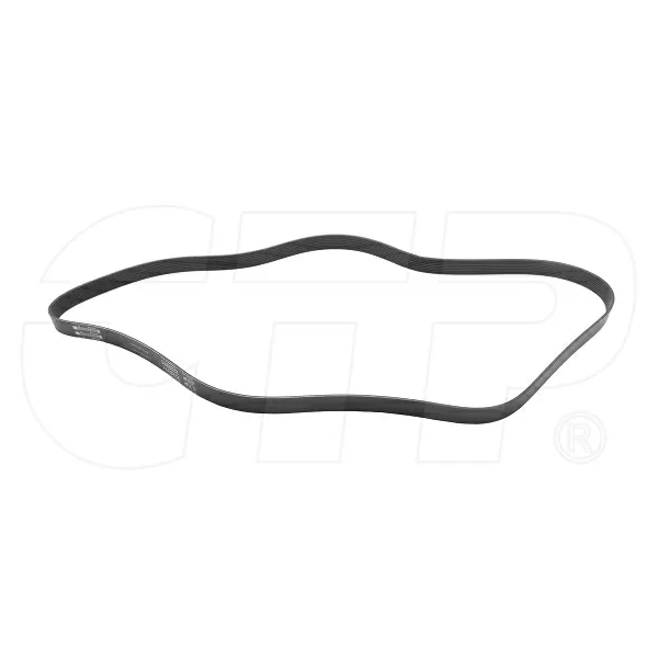 2228311  CAT Belt Serpentine