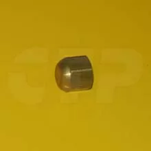 2L1224  CAT Cap-Brass