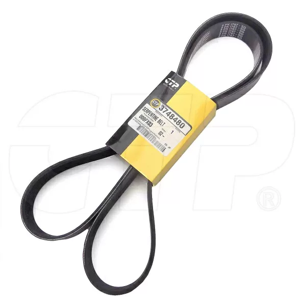 3748480  CAT Serpentine Belt
