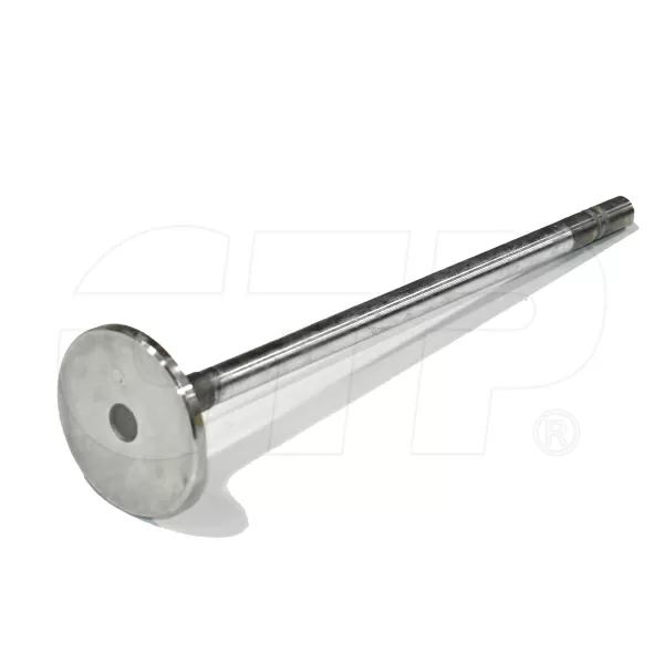 4907198  CAT Valve-Intake