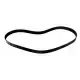3900532  CAT Belt-Serpentine