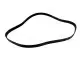 3900536  CAT Belt-Serpentine